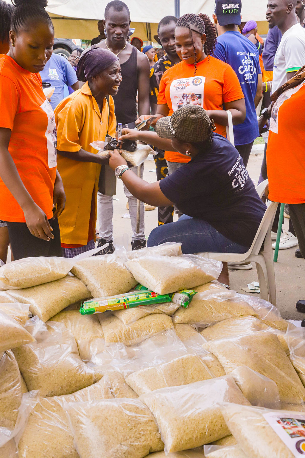 PL Foundation Gallery Image 4